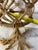 Vintage Boho Macramé Plant Hanger in Natural Fiber — Large Hanging Planter, 1970s For Sale - Image 4 of 8