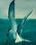 Original 1987 Coastal Watercolor "The Catch" Common Tern Bird Study - Signed C. G. Hurth For Sale - Image 9 of 12