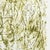 Homage to Van Gogh Poster after Giuseppe Penone, 1990 For Sale - Image 5 of 6