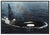 Realism 1990s Rainbow Spray Orca, Terry Allen Isaac For Sale - Image 3 of 5