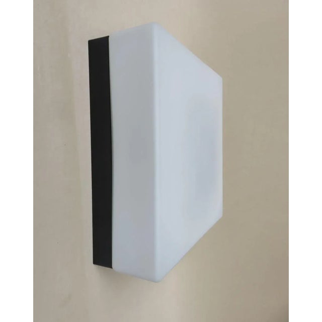 A ceiling light / wall light minimalist, form-reduced 60's style of erco. the lampshade is satin casing glass, the holder...