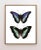 Not Yet Made - Made To Order Reproduction Art Deco Butterflies in Chartreuse and Purple Art For Sale - Image 5 of 5