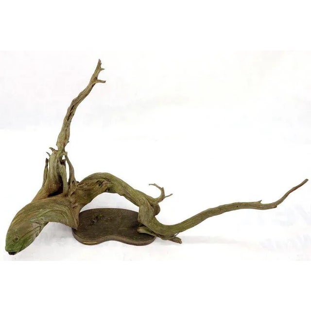 Large Natural Wood Fish Shape Driftwood Sculpture Artist Signed For Sale - Image 9 of 13