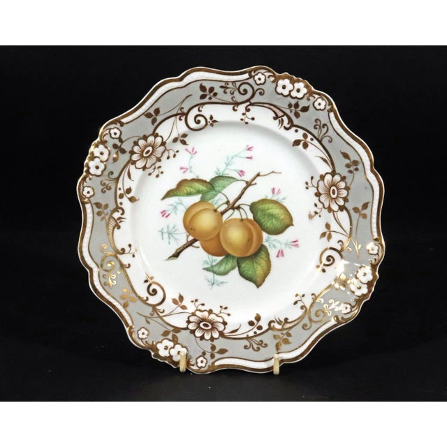 English English Porcelain Botanical Fruit Dessert Service, Attributed to Coalport Circa 1830 For Sale - Image 3 of 11