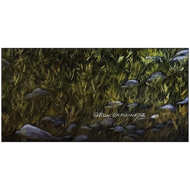Realism Late 20th Century Columbian Ground Squirrel, Ron Ukrainetz For Sale - Image 3 of 5