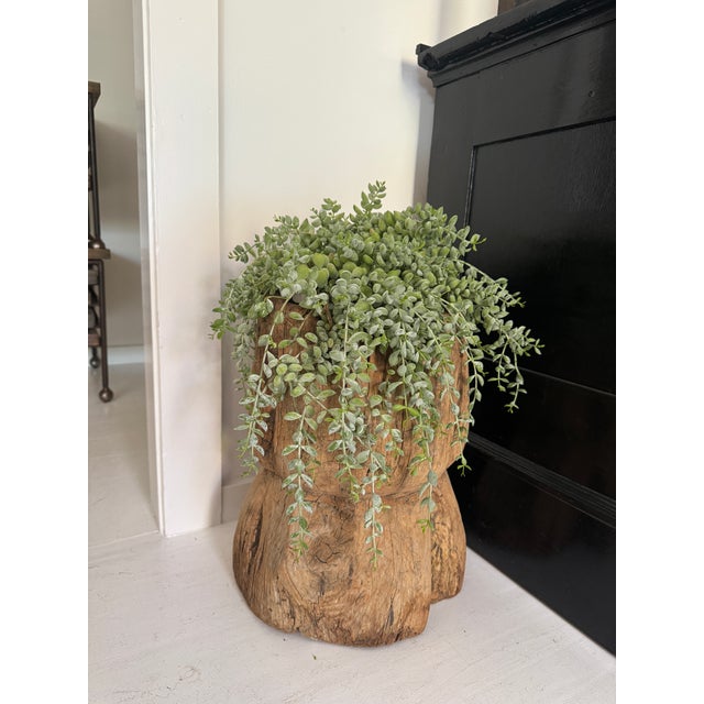 Vintage Rustic Wood Stump Planter For Sale - Image 4 of 12