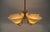 Metal Mid-Century 5-Light Glass & Brass Ceiling Lamp, 1950s For Sale - Image 7 of 16