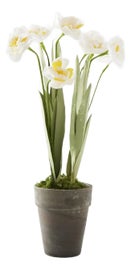 Example of New & Custom Greenery