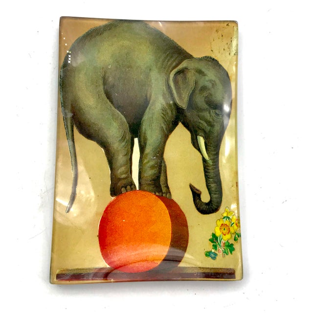 John Derian Decoupage Elephant Themed Trinket Dish Chairish