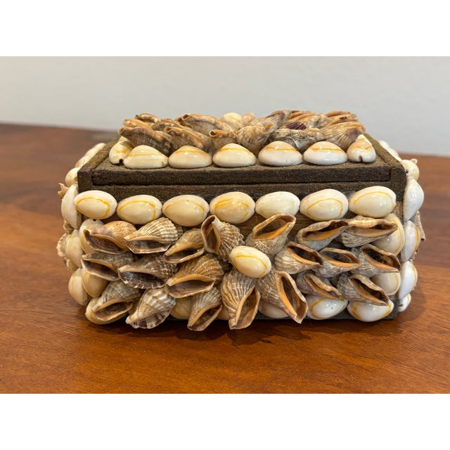 Vintage Palm Beach Style Rectangular Encrusted Shell Box in Neutral Palette For Sale - Image 13 of 18