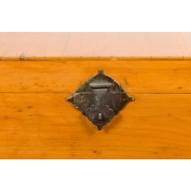 Chinese Early 20th Century Elmwood Blanket Chest with Brass Hardware For Sale - Image 11 of 13