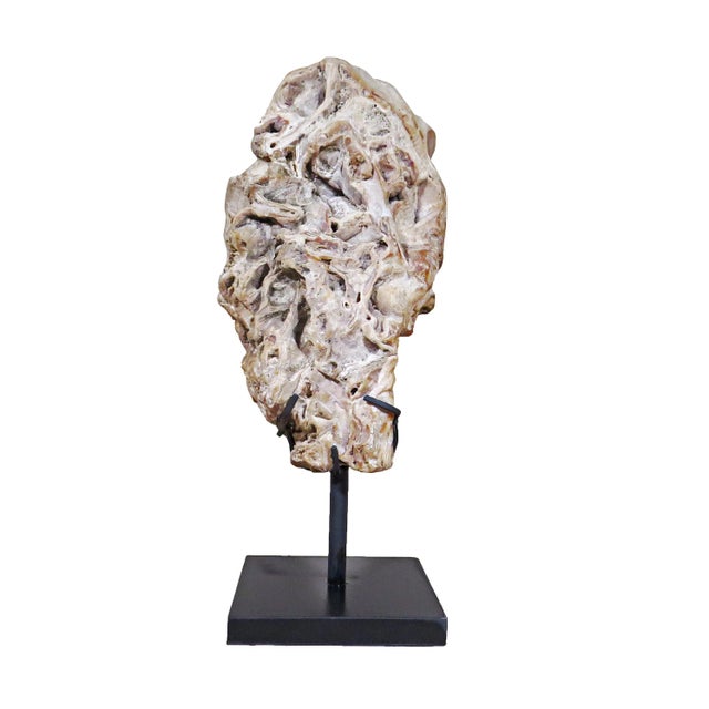 This scholar stone is made from one piece of petrified stone with minimum hand carving and polishing to show natural...