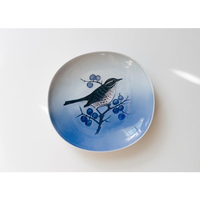 Blue Vintage Royal Copenhagen Decorative Wall Plate Turdus Lliacus (Redwing) Bird For Sale - Image 8 of 8