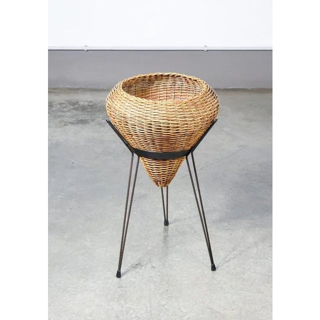 Italian Rattan Planter, 1950s For Sale - Image 6 of 6