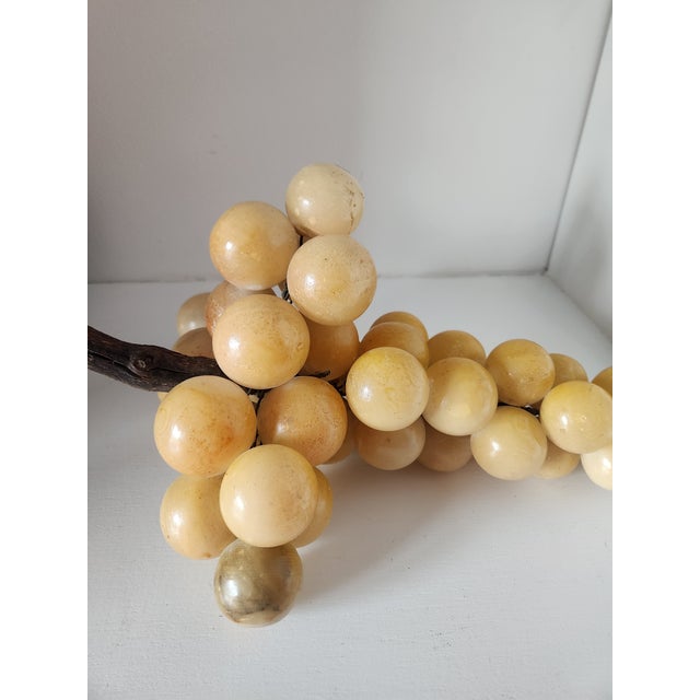 Extra Large Yellow Alabaster Grapes For Sale In Kansas City - Image 6 of 12