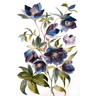 "Hellebores No. 3" Contemporary Original Botanical Flowers Watercolor Painting by Elizabeth Becker For Sale