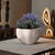 Espen Oval Bowl- Large For Sale - Image 9 of 10