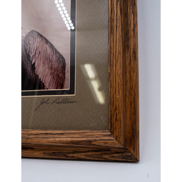 1980s Pair of Framed Sea Bird Pictures by John Patterson For Sale - Image 5 of 15