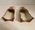 Japanese 1900s Japanese Porcelain Spoon Holders - A Pair For Sale - Image 3 of 6