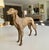Bronze Sculpture of Borzoi or Russian Wolfhound For Sale - Image 4 of 17