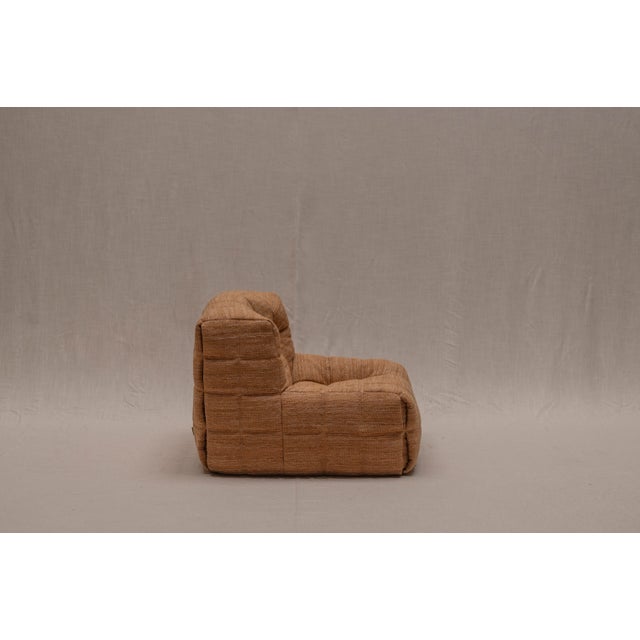 Kashima Easy Chair by Michel Ducaroy for Ligne Roset, 1970s For Sale - Image 6 of 15