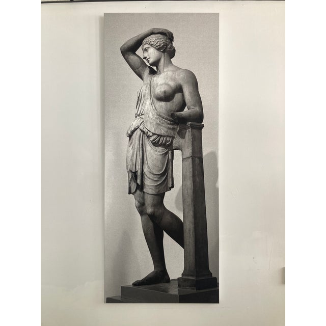 2020s William Gray Harris Photograph on Canvas “Wounded Amazon” For Sale - Image 5 of 8