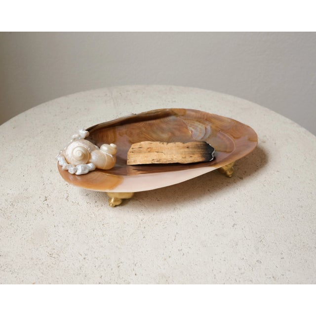 Introducing our first drop of Homeware. This design is a part of our "Out of the Shell" Series. Limited editions and...