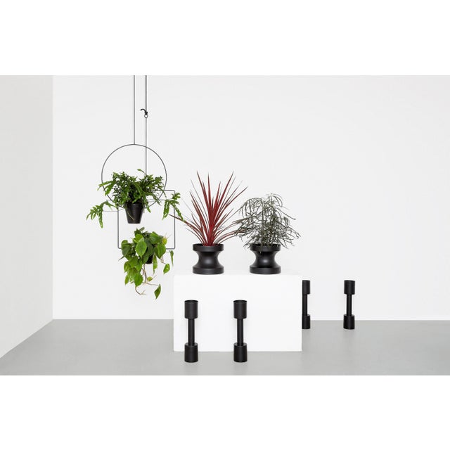 Contemporary THEO Circle Plant Hanger by Llot Llov, 2015 For Sale - Image 3 of 6