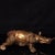 Late 19th Century Gilt Bronze Rhinoceros Statue, 1.1kg For Sale - Image 9 of 9