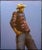Contemporary Late 20th Century "Navajo Cowboy" Contemporary Native American Lithograph Print by Ed Singer For Sale - Image 3 of 3