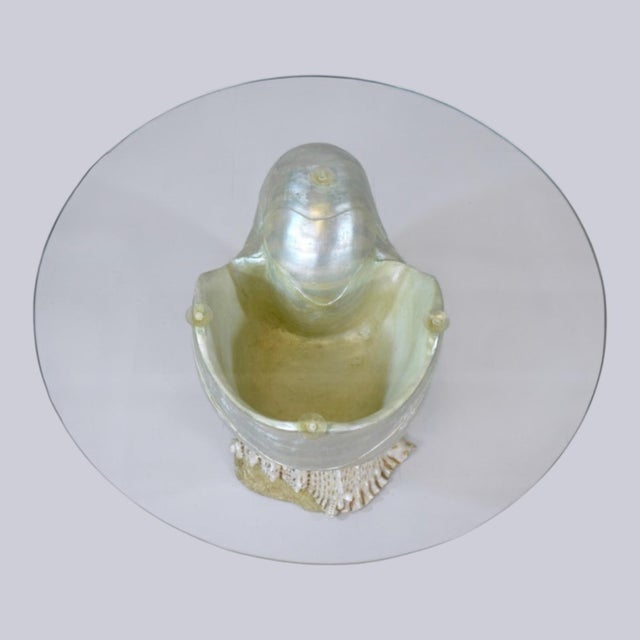 1970s Monumental Nautilus Shell Coffee or Side Table For Sale - Image 4 of 7