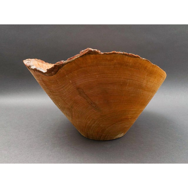 Contemporary Late 20th Century Don Stinson Tamworth Ontario Canada Large Hand Carved Natural Wood Bowl For Sale - Image 3 of 7