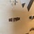 Seashell Display in Geometric Wall Curio For Sale - Image 12 of 12