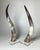 A chic pair of steer horns each mounted on Lucite bases. These highly decorative horns add a unique air of sophistication...