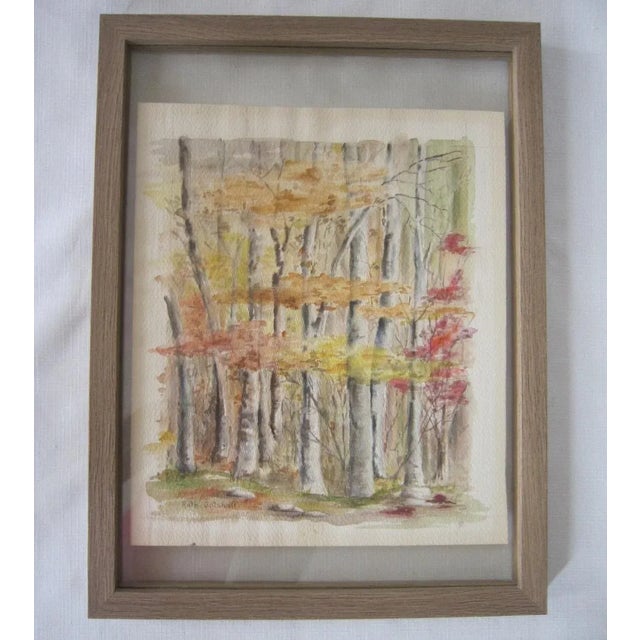 Exquisite watercolor painting, of a Fall Forest. Signed lower left corner "Ruth Gotshall". It depicts what appear to be...