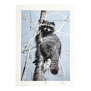 1984 Charles Fracé “Bandit, Raccoon” Print