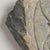 Gray Stone Hands of Avalokiteshvara God of Compassion For Sale - Image 8 of 11