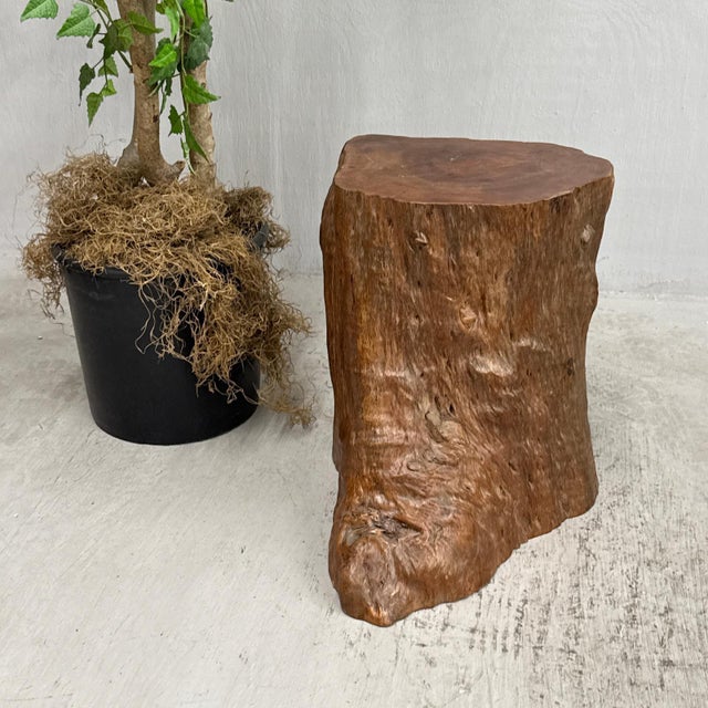 Rustic Mid 20th Century Large Free-Form Brown Rustic Tree Trunk Side Pedestal Table For Sale - Image 3 of 8