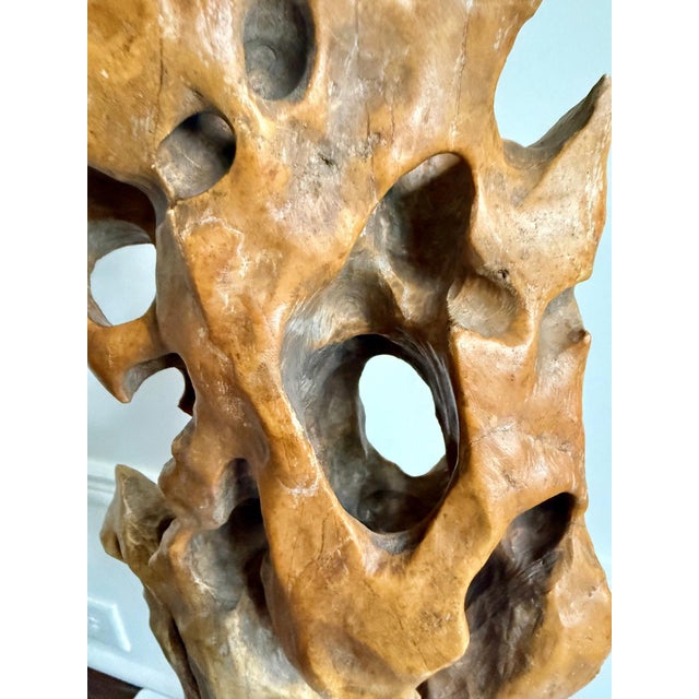 Stone Tall Elegant Chinese Scholar Rock Yellow Taihu Stone on Wood Stand For Sale - Image 7 of 18