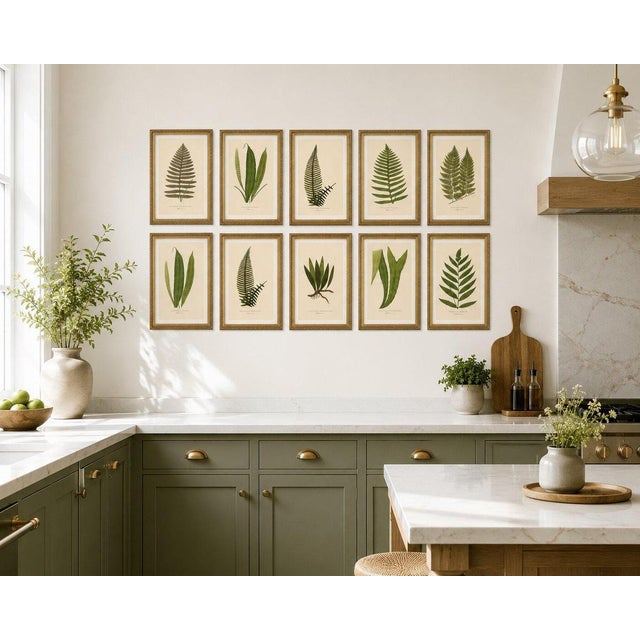 Fern Collection with English Species Names, 1856, Lithograph, Set of 10 For Sale - Image 13 of 14