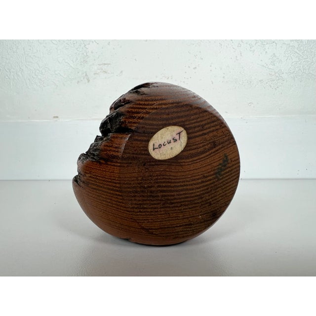 Vintage Live Edge Locust Wood Budvase For Sale - Image 9 of 11