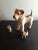 These are GORGEOUS Vintage Bisque Airedale Terrier Doggie with Pups Figurines Set of 3. Procured at auction BOX 34