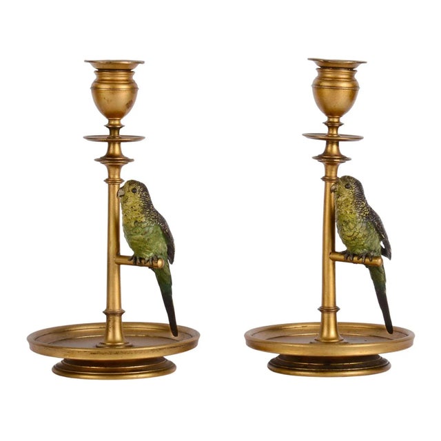 Antique bronze pair budgie parakeet candle holders, circa 1900. This antique pair of candle holders each feature a cold...