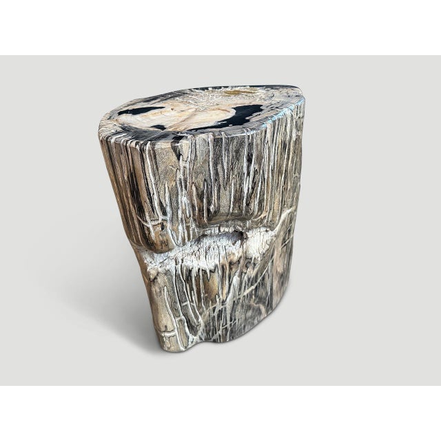 Andrianna Shamaris Ancient Sculptural Petrified Wood Side Table For Sale In New York - Image 6 of 6