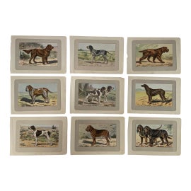 Example of French Prints