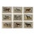 1907 French Photogravure Prints - Collection of Nine Various Dog Breeds #1 For Sale