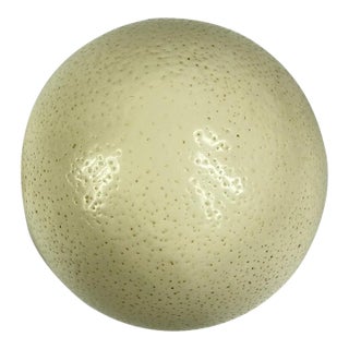 Early 20th Century Ostrich Egg Shell Natural For Sale