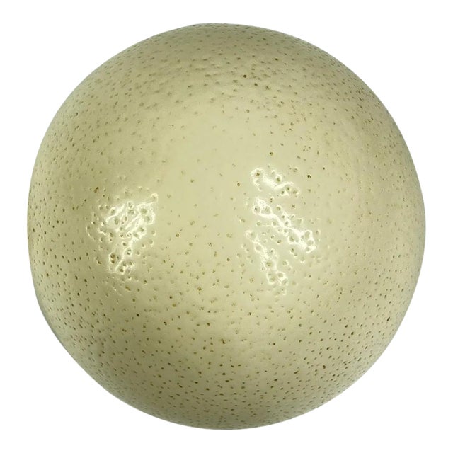 Early 20th Century Ostrich Egg Shell Natural For Sale