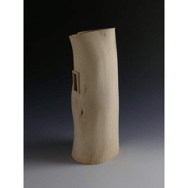 Green Through the Window Vase in Fig Tree Wood by Yann Marot For Sale - Image 8 of 10