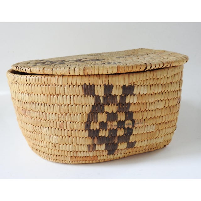 Rustic Vintage Papago Hand Woven Covered Basket Turtle Design For Sale - Image 3 of 7